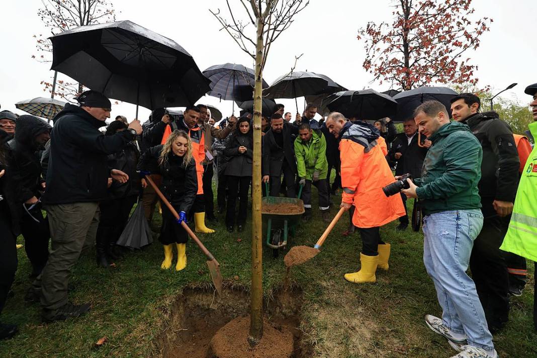 İstanbul'a 1111 'nefes' takviyesi yapıldı! Fıstık çamları ve zeytinler buluştu 9